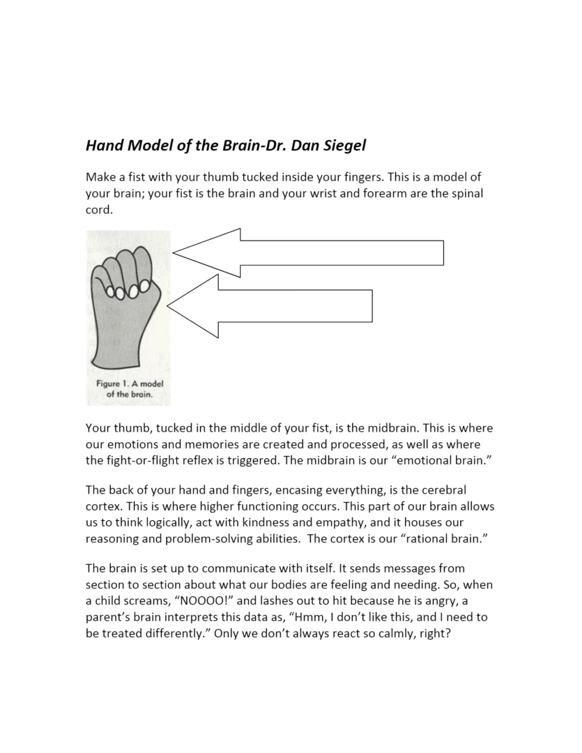 A hand model of the brain dr. Dan siegel